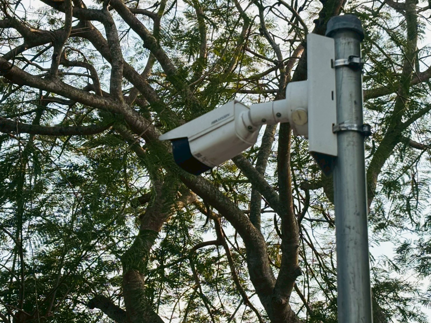 Überwachungskameras: ausführliche Einführung und Vergleich 2026